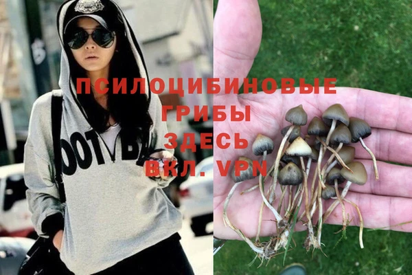a pvp Володарск