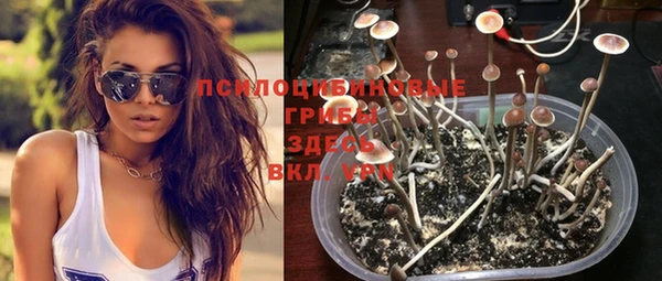 мескалин Волоколамск