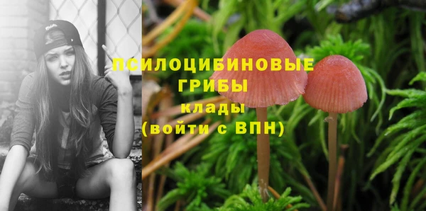 мескалин Волоколамск