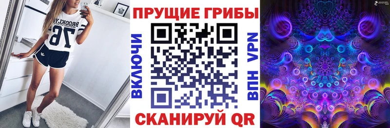 где продают hydra рабочий сайт Псилоцибиновые грибы прущие грибы Отрадный